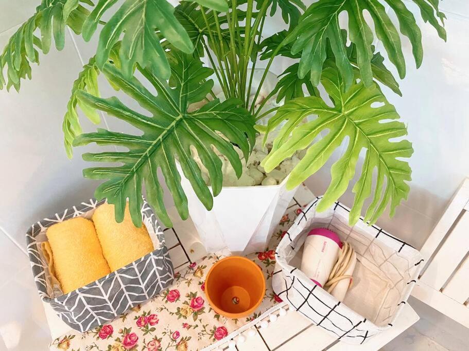An's - Peaceful, Cozy & Chill *